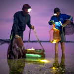 Joel Alves apresenta as inovações que tornam a pesca mais eficiente, limpa e segura para o meio ambiente.
