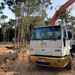 Escolher entre guindaste e munck depende do tipo de carga, alcance e condições do terreno, uma decisão estratégica ressaltada por Altevir Seidel.