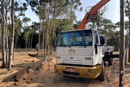 Escolher entre guindaste e munck depende do tipo de carga, alcance e condições do terreno, uma decisão estratégica ressaltada por Altevir Seidel.