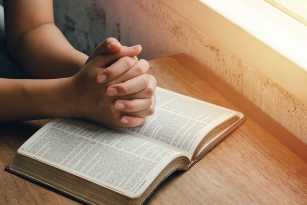 Entenda A paciência como fruto do Espírito: Conheça com Jose Eduardo Oliveira e Silva a força silenciosa que amadurece a alma como virtude cristã essencial. Conteúdo por Jose Eduardo De Oliveira e Silva.