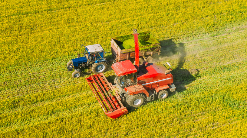 O impacto da decisão no tempo certo nos resultados da safra com Alfredo Moreira Filho.