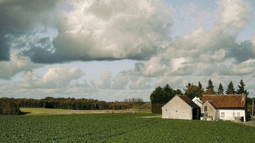 Parajara Moraes Alves Junior